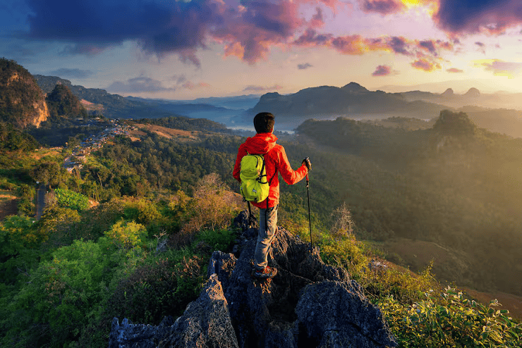 Safari adventurer overlooking the wilderness