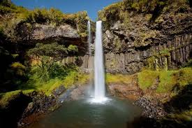 Aberdare National Park 3