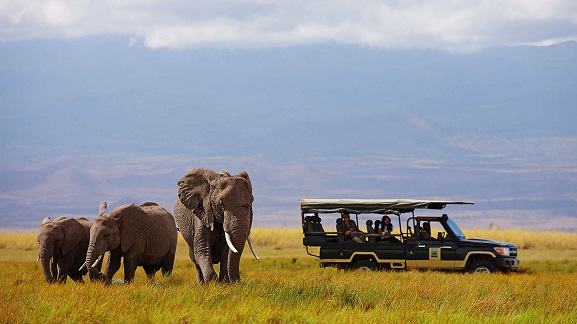 Amboseli 3