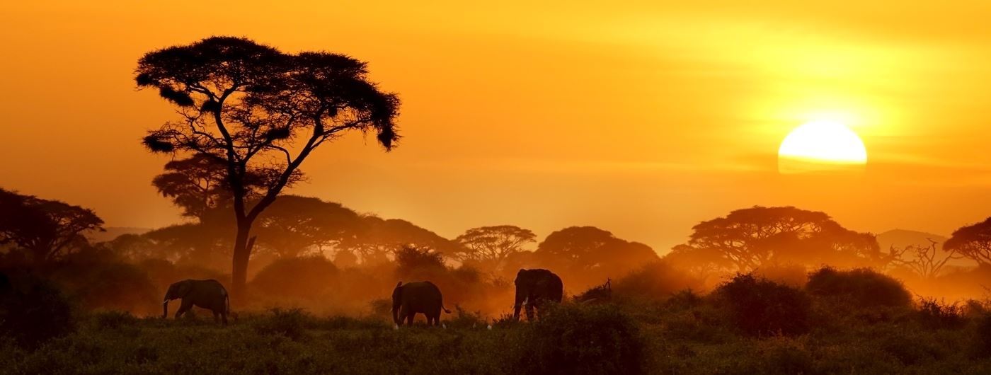 Amboseli 5