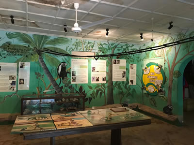 Colobus Conservation Centre coastal safari activity in Kenya
