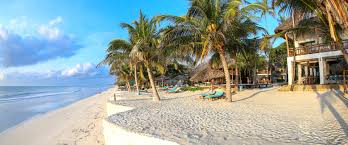 Diani Beach Experience coastal safari activity in Kenya