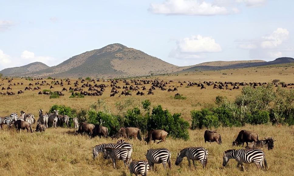 Maasai Mara 3
