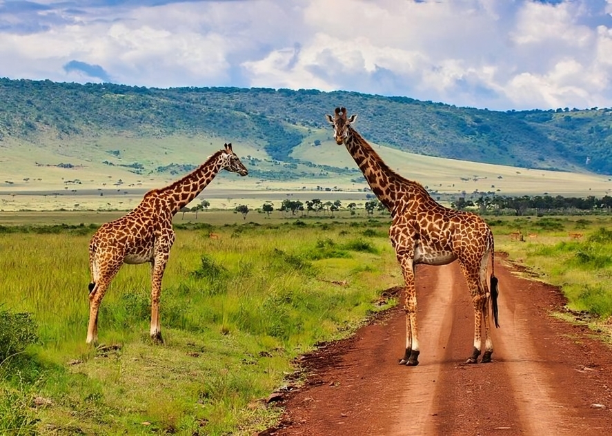 Maasai Mara 4