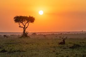 Maasai Mara 5