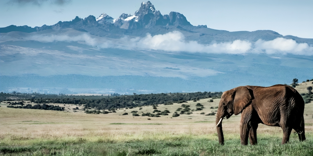 Mount Kenya National Park