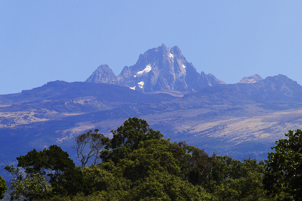 Mount Kenya National Park 2
