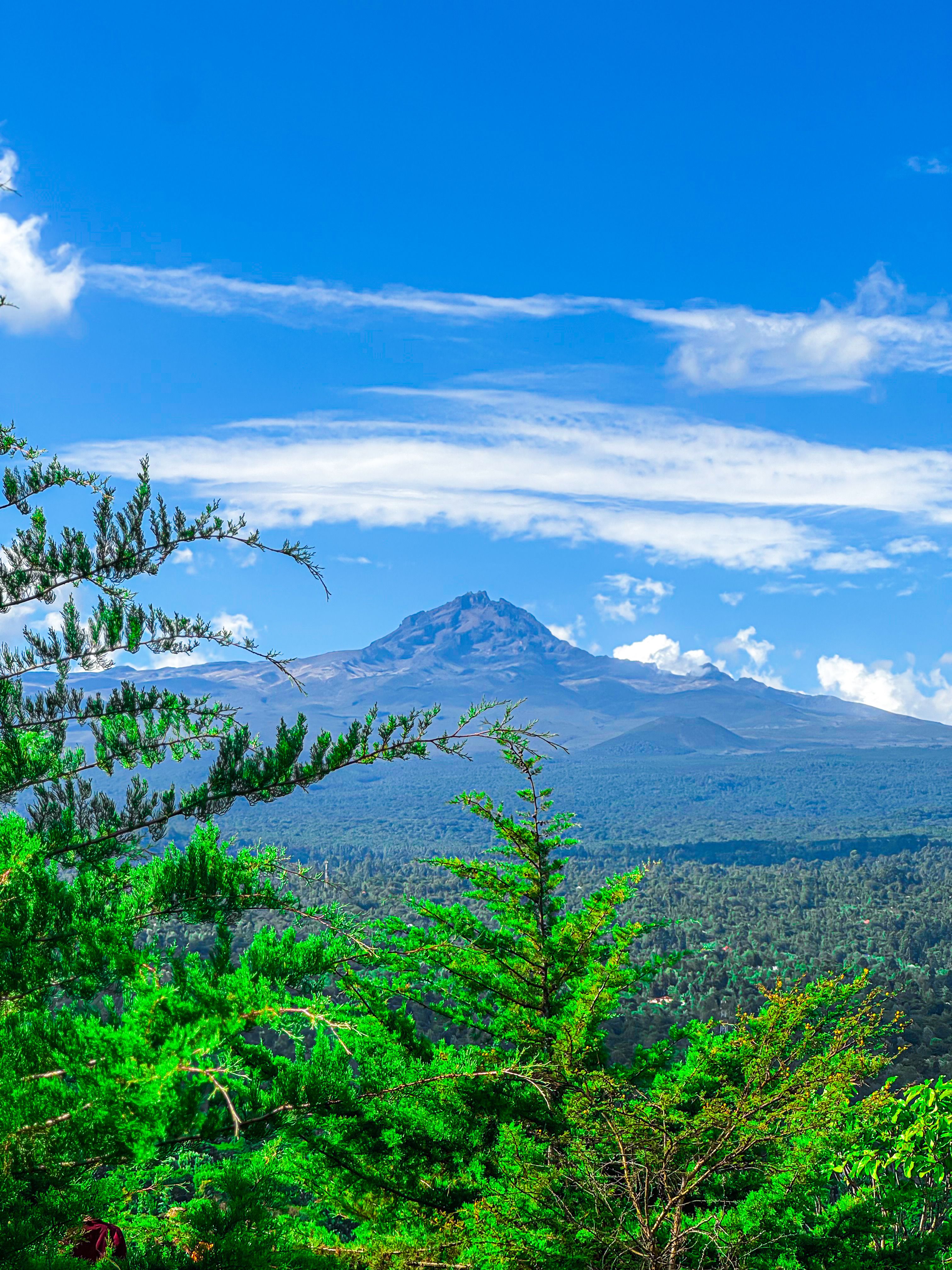 Mount Kenya National Park 4