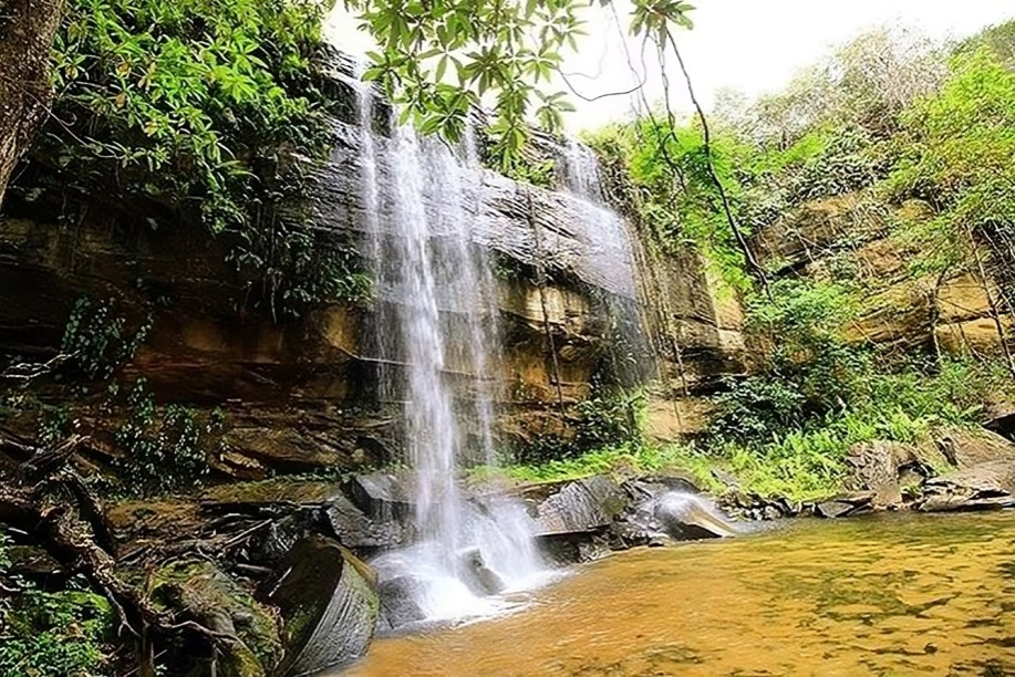 Shimba Hills National Reserve
