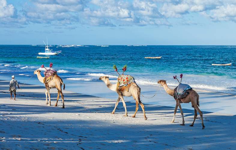 South Coast safari destination in Kenya with wildlife and landscape views