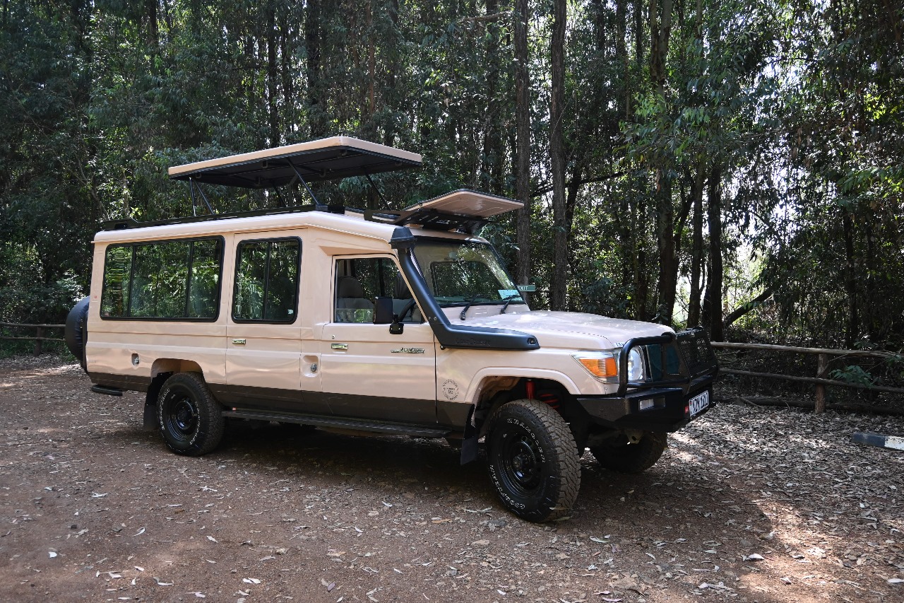Vehicle 3